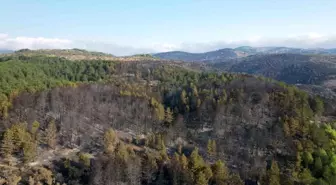 Ankara-Bolu il sınırında çıkan yangın dron ile havadan görüntülendi