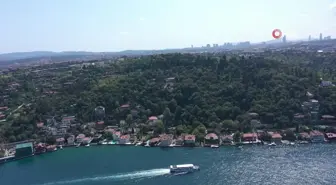 Çevre Bakanlığı, Vaniköy'deki ruhsatsız inşaatla ilgili suç duyurusunda bulundu