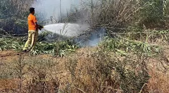 Hatay'da İskenderun ve Arsuz ilçelerinde çıkan yangınlar söndürüldü