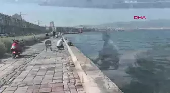 İzmir Körfezi'nde Ölen Balıkların Tüketilmemesi Uyarısı