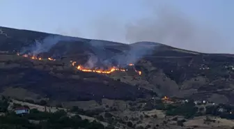 Malatya'da çıkan orman yangını 7 saatte kontrol altına alındı