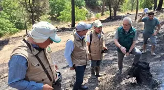 TARSİM Heyeti Aydın ve Muğla'daki yangın bölgelerini ziyaret etti