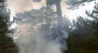 Kastamonu'da Yıldırım Sonucu Çıkan Orman Yangını Köylüler Tarafından Söndürüldü