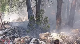 Burdur'da çıkan orman yangını söndürüldü