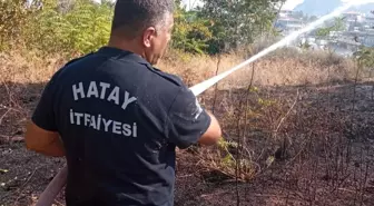 Hatay'ın Defne ilçesinde çıkan bahçe yangını söndürüldü