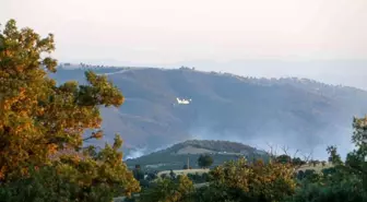 Uşak'ın Eşme ilçesinde çıkan yangınlara havadan ve karadan destek devam ediyor