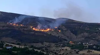 Malatya'da çıkan orman yangını kontrol altına alındı, kaplumbağa kurtarıldı