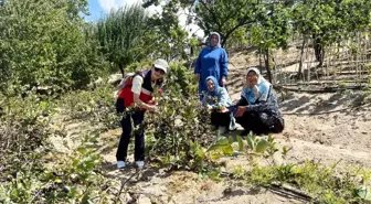 Kütahya İyi Tarımda İlerliyor Projesi Kapsamında Kadın Üreticilere Teknik Gezi Düzenlendi