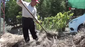 Torosların şifa dağıtan adamı