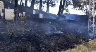 Yalova'da mezarlık yangını kontrol altına alındı