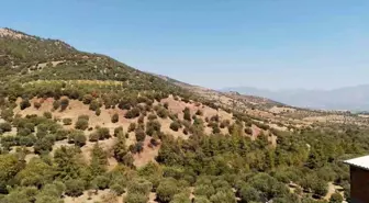 Aydın'da Güçlü Patlama Sesinin Kaynağı Araştırılıyor