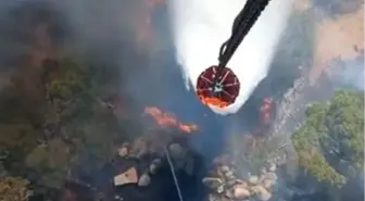 İzmir'in Bergama ilçesinde orman yangını çıktı