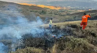 Bingöl'de 6 bölgede çıkan orman ve örtü yangınları söndürüldü