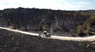 Ankara ve Bolu'da Orman Yangınları Söndürüldü