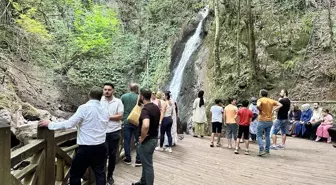 Düzce'de Sıcak Havadan Bunalanlar Tabiat Parklarını Tercih Ediyor