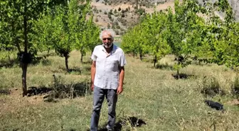 Emekli Öğretmen 20 Binden Fazla Fidanı Toprakla Buluşturdu