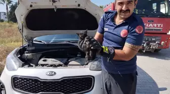 Park halindeki cipin motor kısmına sıkışan kedi yavrusu kurtarıldı