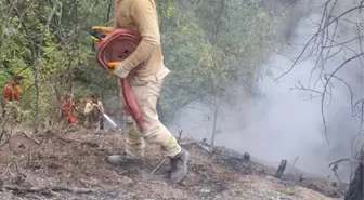 Karabük'ün Ovacık ilçesinde çıkan orman yangını kontrol altına alındı