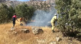 Mardin'de ormanlık alanda çıkan yangın kontrol altına alındı