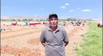 Mevsimlik Tarım İşçileri Elektriksiz Yaşam Sıkıntısı Çekiyor