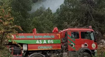 Kütahya'da Ormanlık Alanda Yıldırım Düşmesi Sonucu Yangın Söndürüldü