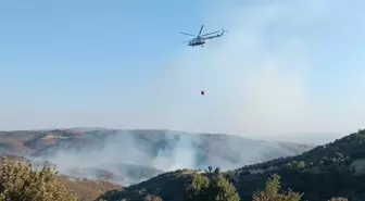 Uşak'ın Eşme ilçesinde meşelik alanlarda çıkan yangınlara müdahale ediliyor