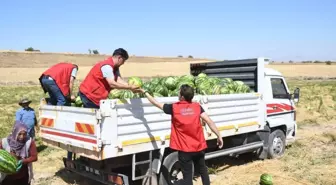 Aksaray Belediyesi, sürücülere ve vatandaşlara 80 ton karpuz dağıttı