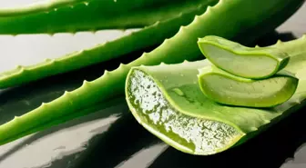 Aloe vera bitkisi evde nerede durmalı, nasıl bakılır? Aloe vera jelinin faydaları neler, nasıl kullanılır?