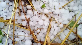 Denizli'de Dolu Yağışı Tarım Alanlarını Zarara Uğrattı