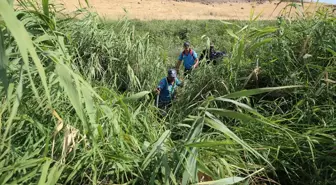 Diyarbakır'da kaybolan 8 yaşındaki Narin Güran'ı arama çalışmaları devam ediyor