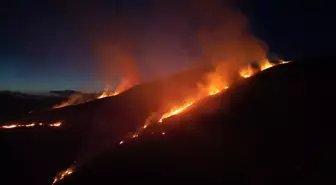 Sivas'ta çıkan örtü yangını ormana sıçradı