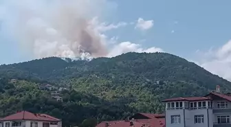 Zonguldak'ta orman yangını kontrol altına alındı