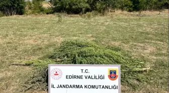 Edirne'de Büyük Uyuşturucu Operasyonu