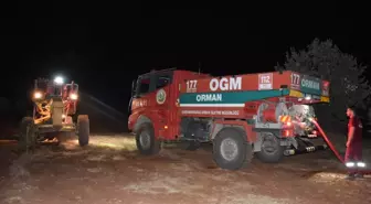 Kahramanmaraş'ın Pazarcık ilçesinde çıkan orman yangını söndürüldü