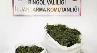 Bingöl'de 12 Kilo Esrar Ele Geçirildi, 1 Şüpheli Gözaltına Alındı