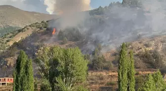 Erzurum İspir'de çıkan yangın kontrol altına alındı