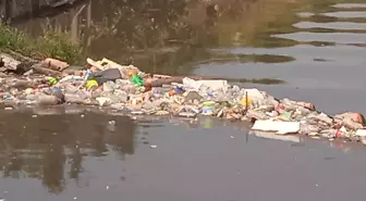 İstanbul'da Şiddetli Yağış Sonrası Derelerde Çöp Yığınları Oluştu