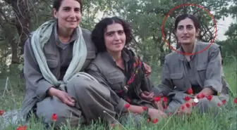 MİT, PKK/KCK'nın sözde sorumlularından 'Pelin Batman' kod adlı teröristi etkisiz hale getirdi