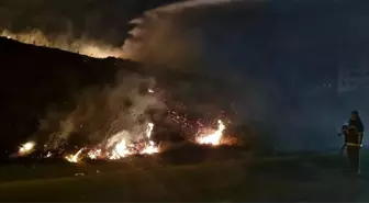 Antakya'da bir tarlada çıkan yangın söndürüldü