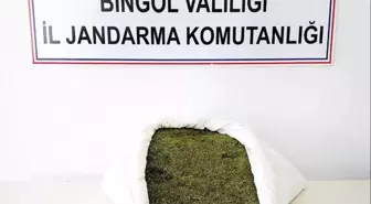 Bingöl'de 17 Kilo 500 Gram Esrar Ele Geçirildi