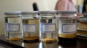 Bayburt'ta petrol varlığına dair yeni bulgular