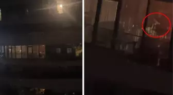 Görüntü Türkiye'den! Karşı binada denk geldiği olayı kayda alıp hayretler içerisinde anlattı