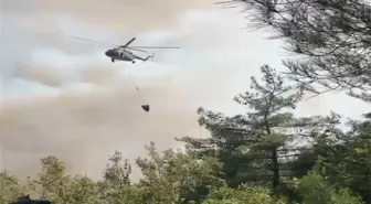 İznik'te çıkan orman yangınında 80 hektarlık alan zarar gördü