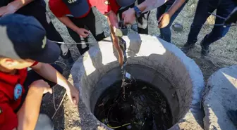 Narin Güran'ın abisi neden gözaltına alındı? Ağabeyin kolundaki ısırık kime ait? Narin'in abisi Enes'in kolunda neden ısırık izi var?