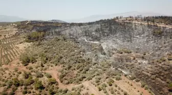 İzmir ve Çevresindeki Orman Yangınları Halk Sağlığını Tehdit Ediyor