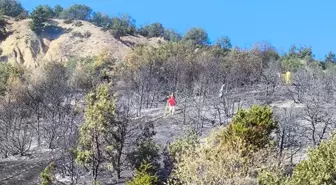 Amasya'da çıkan orman yangınında 2 hektar alan zarar gördü