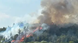 Antalya'da Orman Yangınına Havadan ve Karadan Müdahale