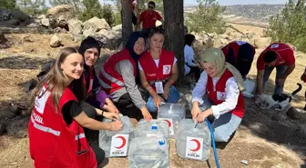 Kilis'te ormanlık alana su dolu bidonlar konuldu