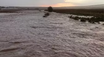 Konya'nın Yunak ilçesini şiddetli sağanak vurdu, tarım arazilerini su bastı