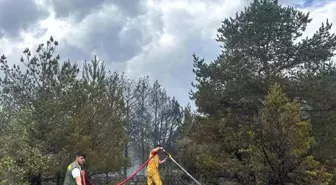 Bolu'da çıkan orman yangınına erken müdahale sayesinde facianın önüne geçildi